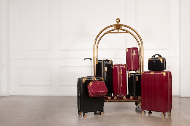 Luggage and Bags